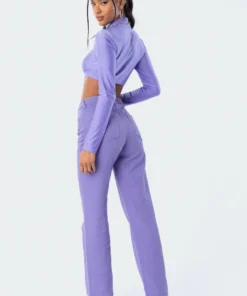 S11858_purple Kimmy Shiny Crop Top