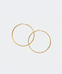 Acc0012_gold Pure Hoop Earrings Accessories